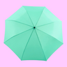Mint Compact Umbrella - Re-leaf