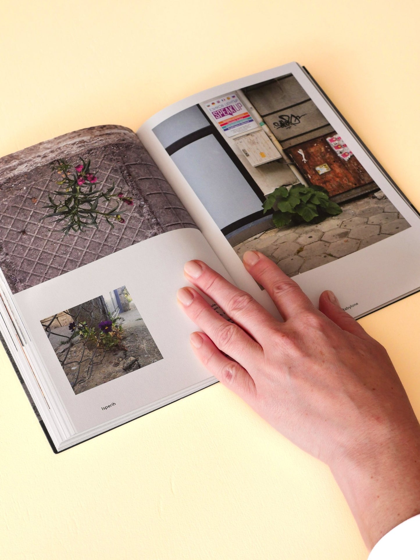 Les Plantes et Babylone Book - Re - leaf