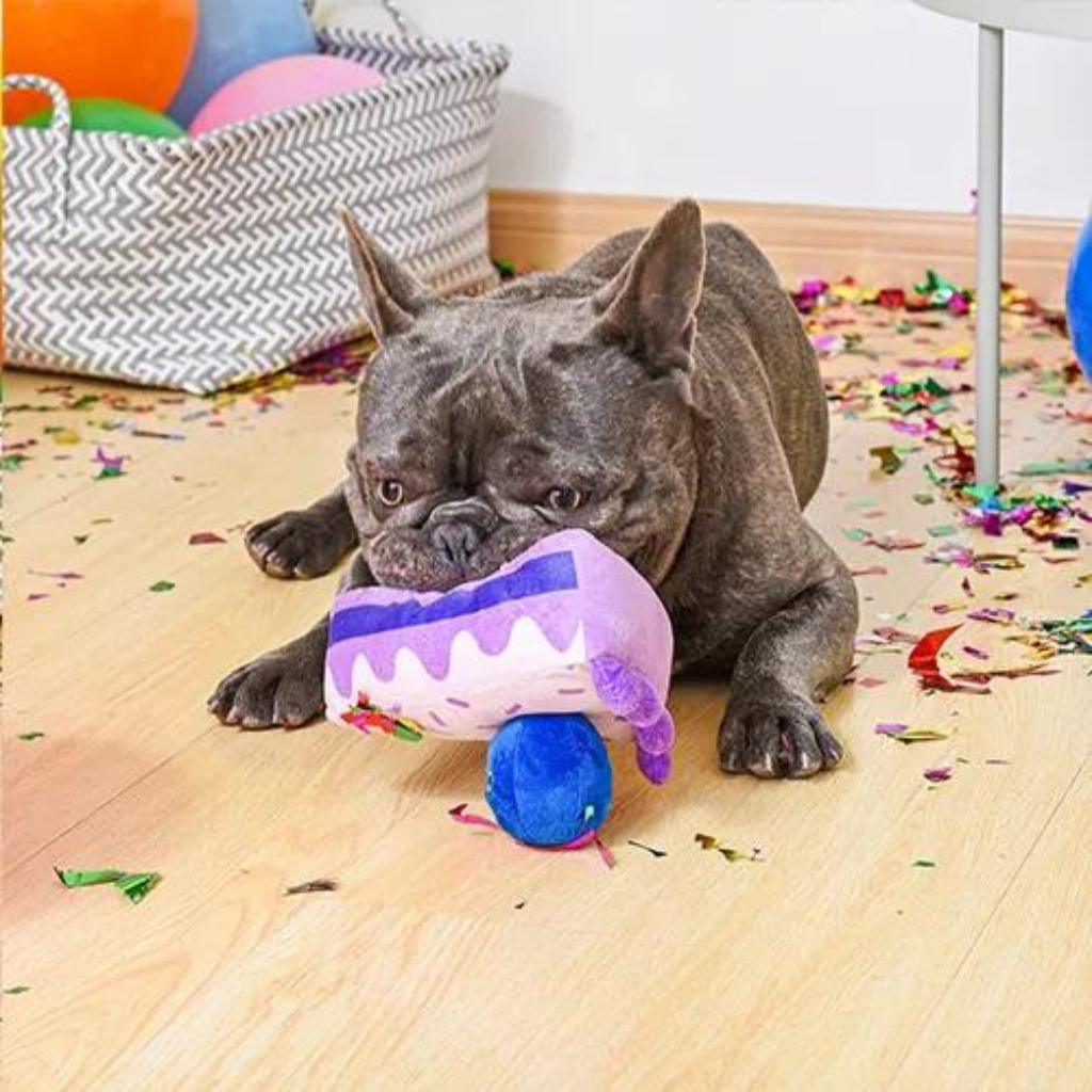 Blueberry sales dog cake