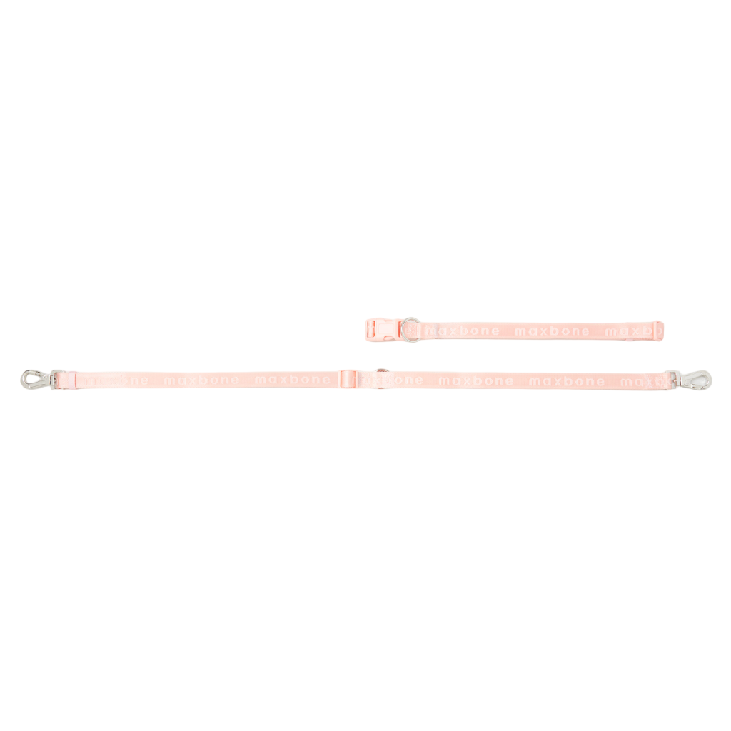 GO! With Ease Hands Free Dog Leash Peach - Re-leaf