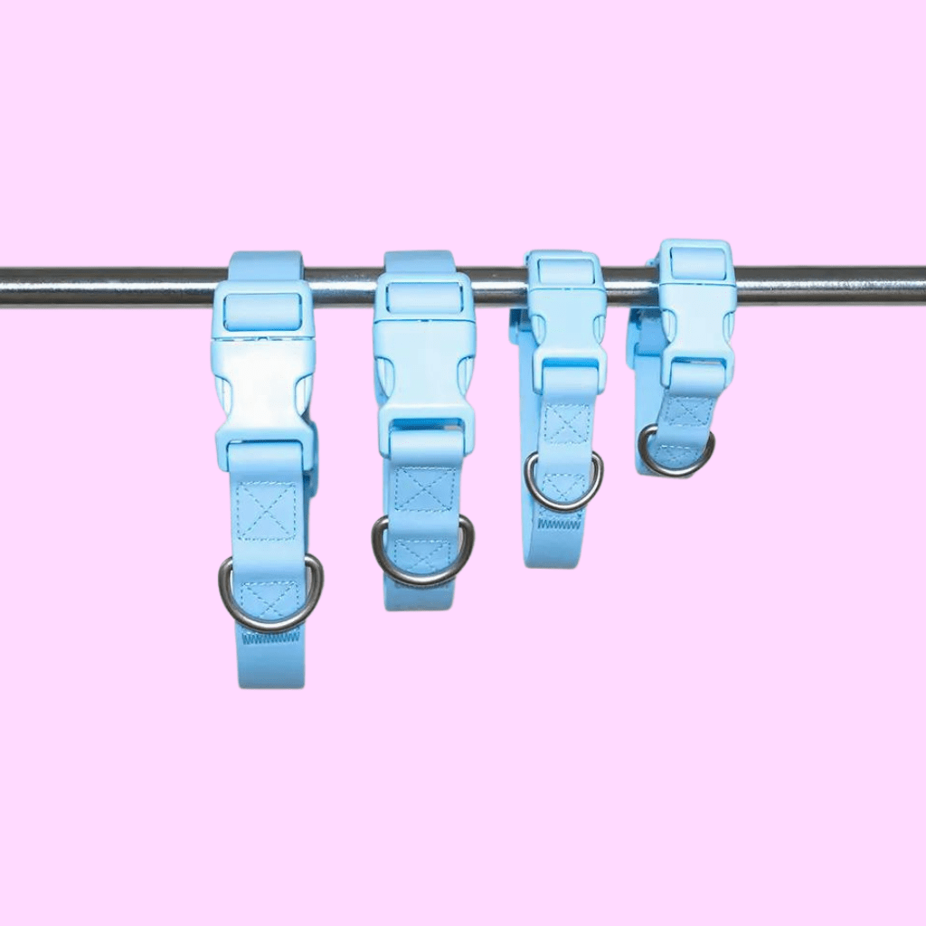 Dog Collar Blue - Re - leaf