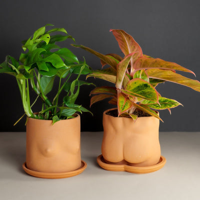 Terracotta Bootie Plant Pot - Re - leaf