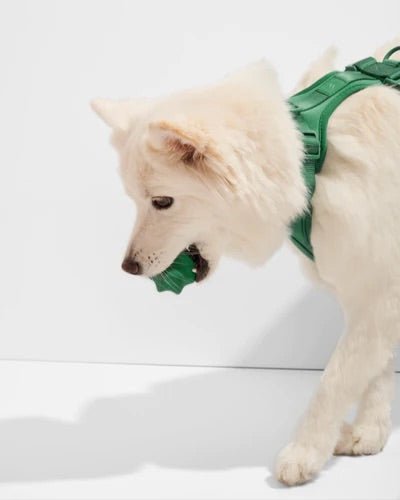 Twist Toss Dog Toy - Re - leaf