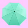 Mint Compact Umbrella