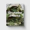 Brutalist Plants by Olivia Broome