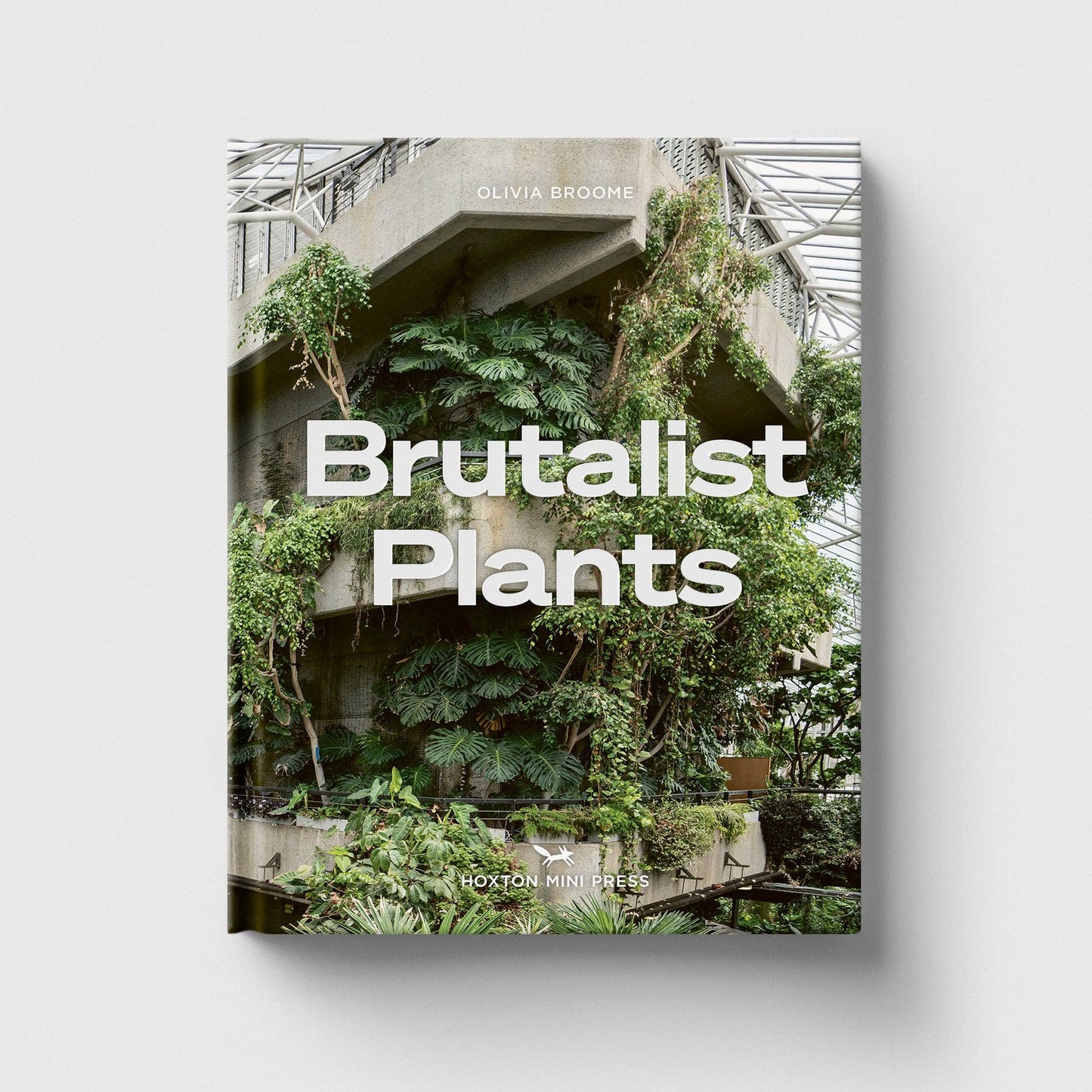 Brutalist Plants by Olivia Broome