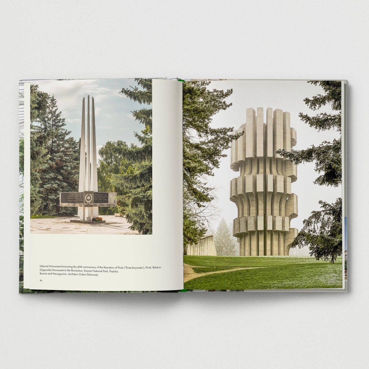 Brutalist Plants by Olivia Broome