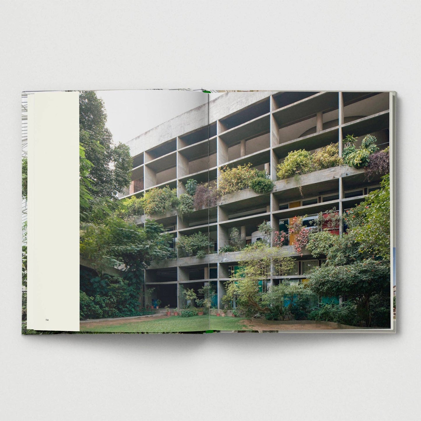 Brutalist Plants by Olivia Broome