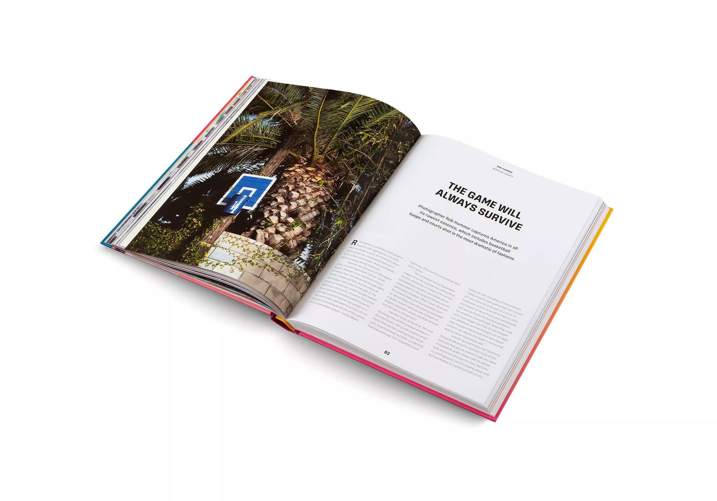 Courtside Candy: The Culture and Influence of Basketball