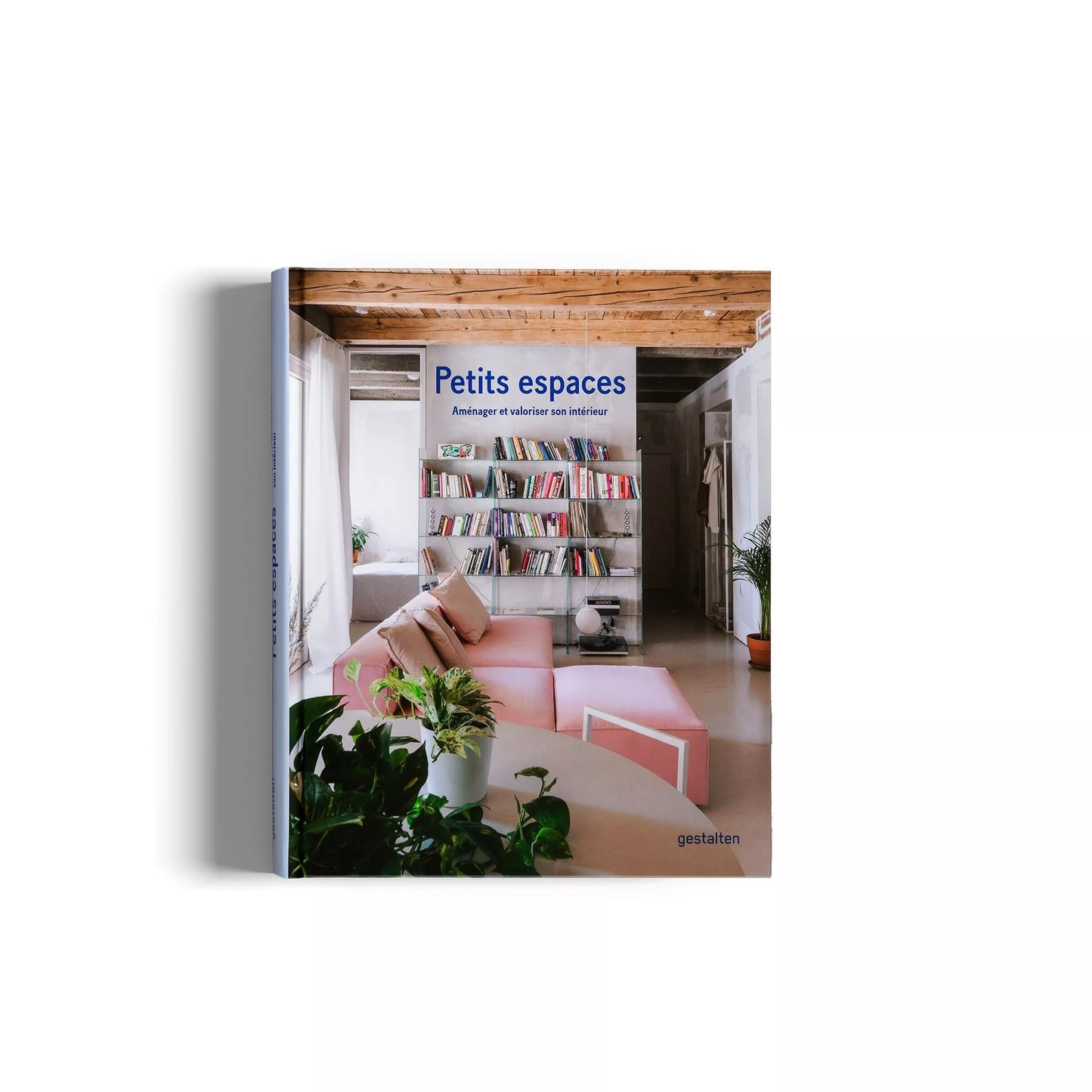 Petits espaces: Aménager et valoriser son intérieur