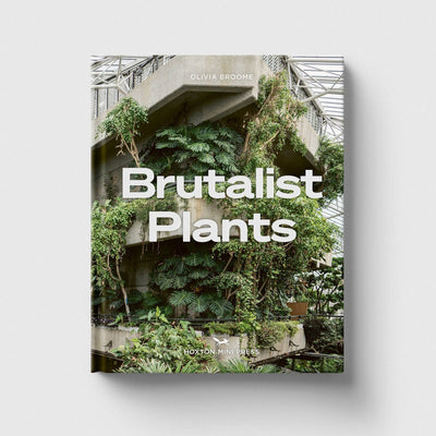 Brutalist Plants by Olivia Broome - Re - leaf