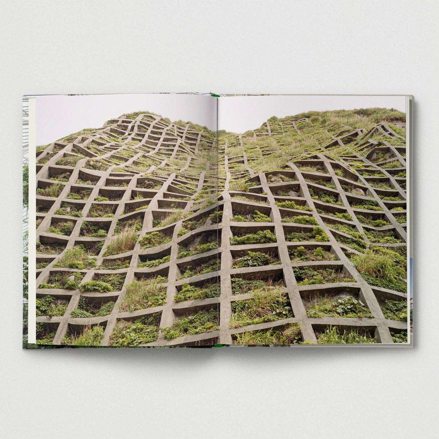 Brutalist Plants by Olivia Broome - Re - leaf