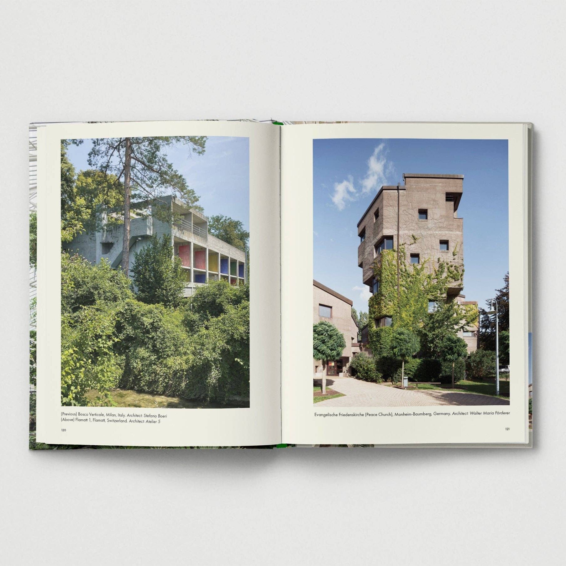 Brutalist Plants by Olivia Broome - Re - leaf