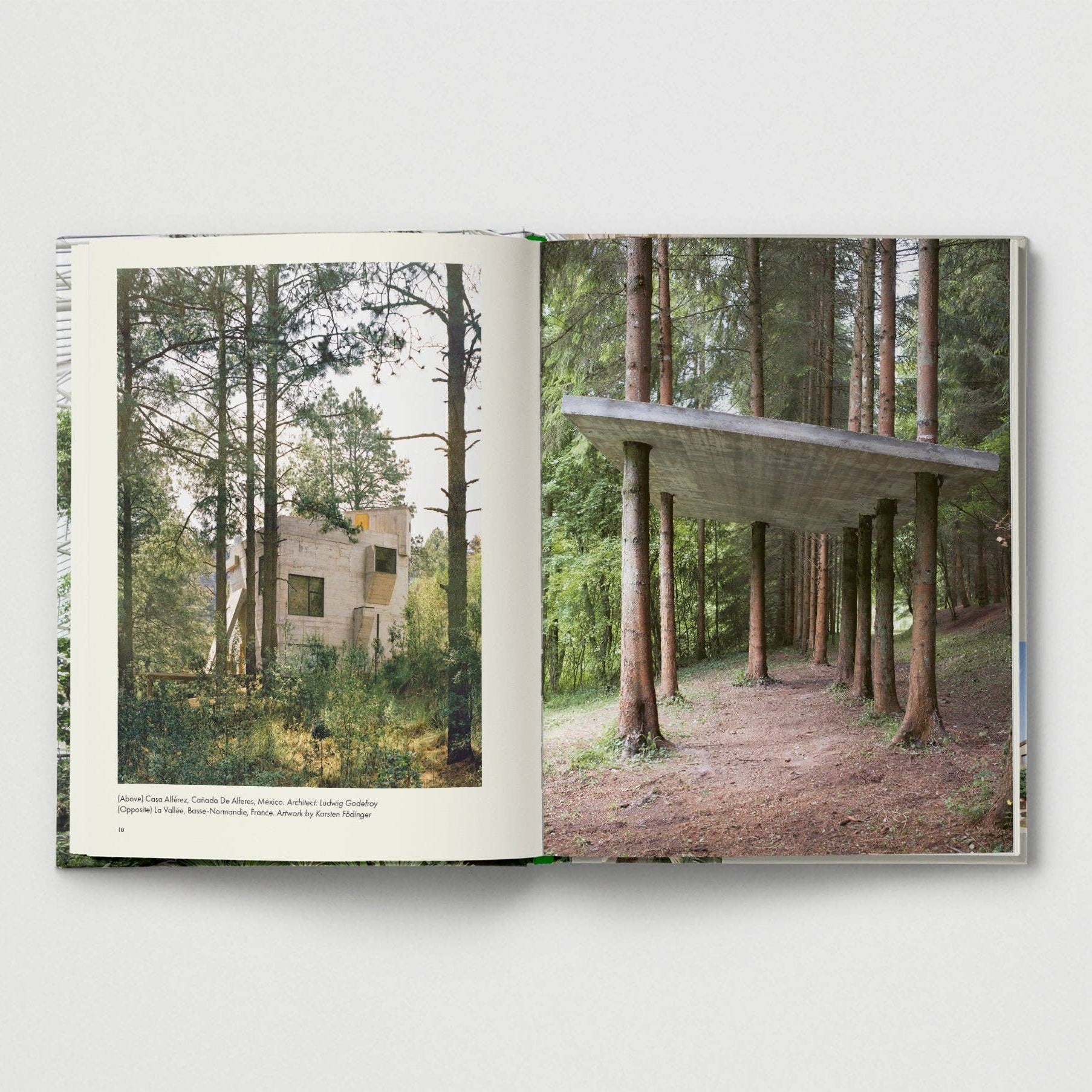 Brutalist Plants by Olivia Broome - Re - leaf