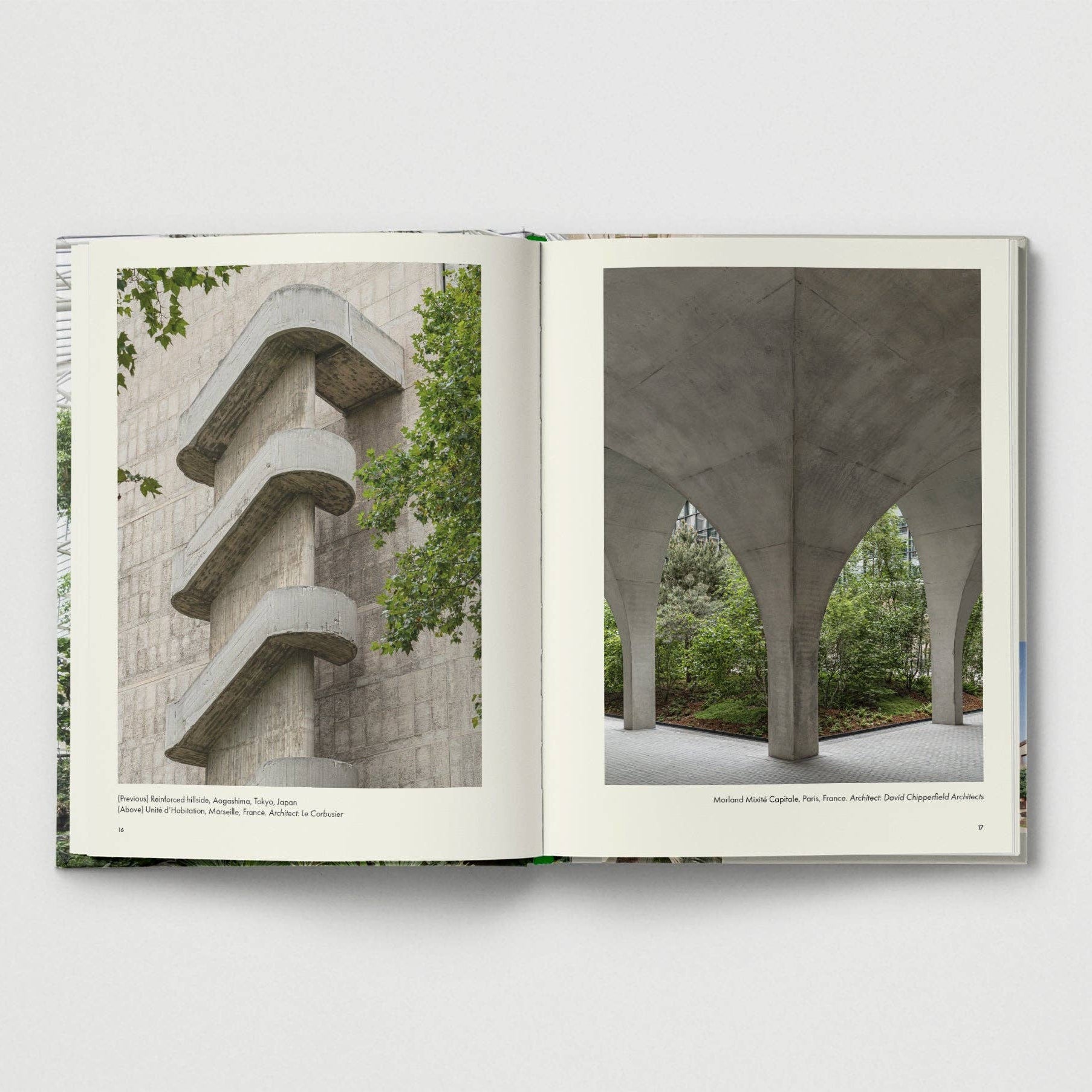 Brutalist Plants by Olivia Broome - Re - leaf