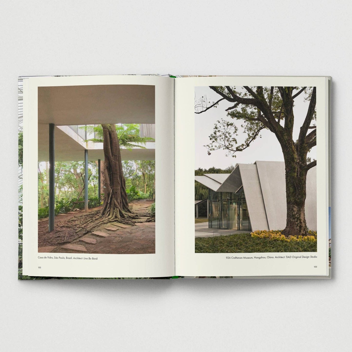 Brutalist Plants by Olivia Broome - Re - leaf