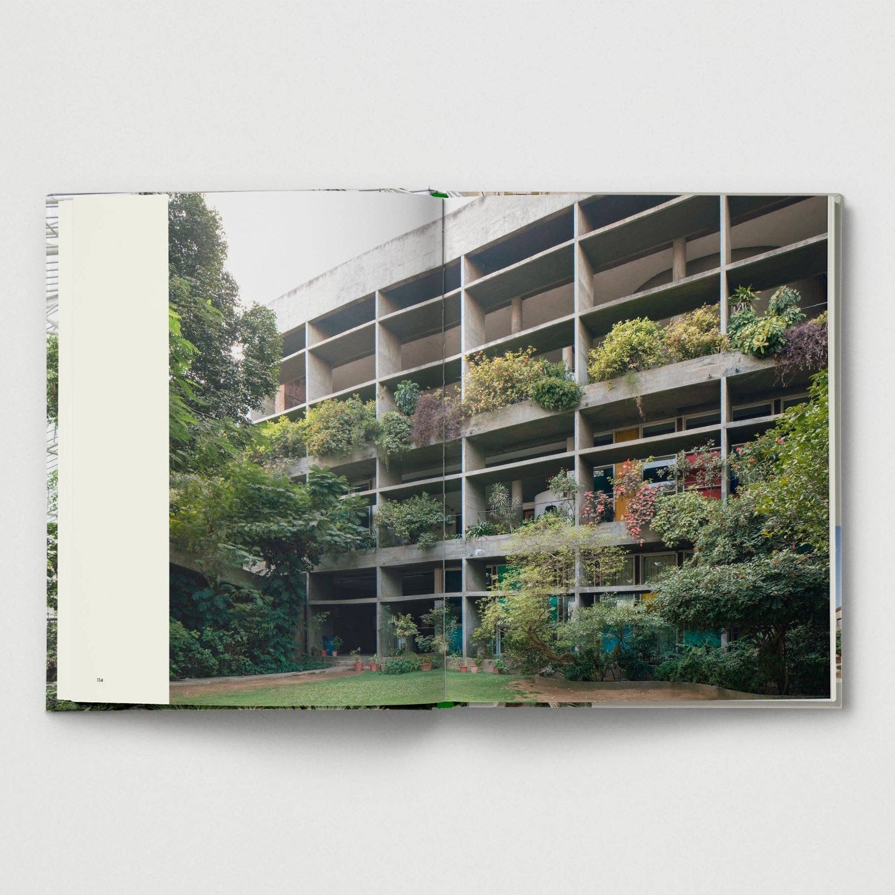 Brutalist Plants by Olivia Broome - Re - leaf