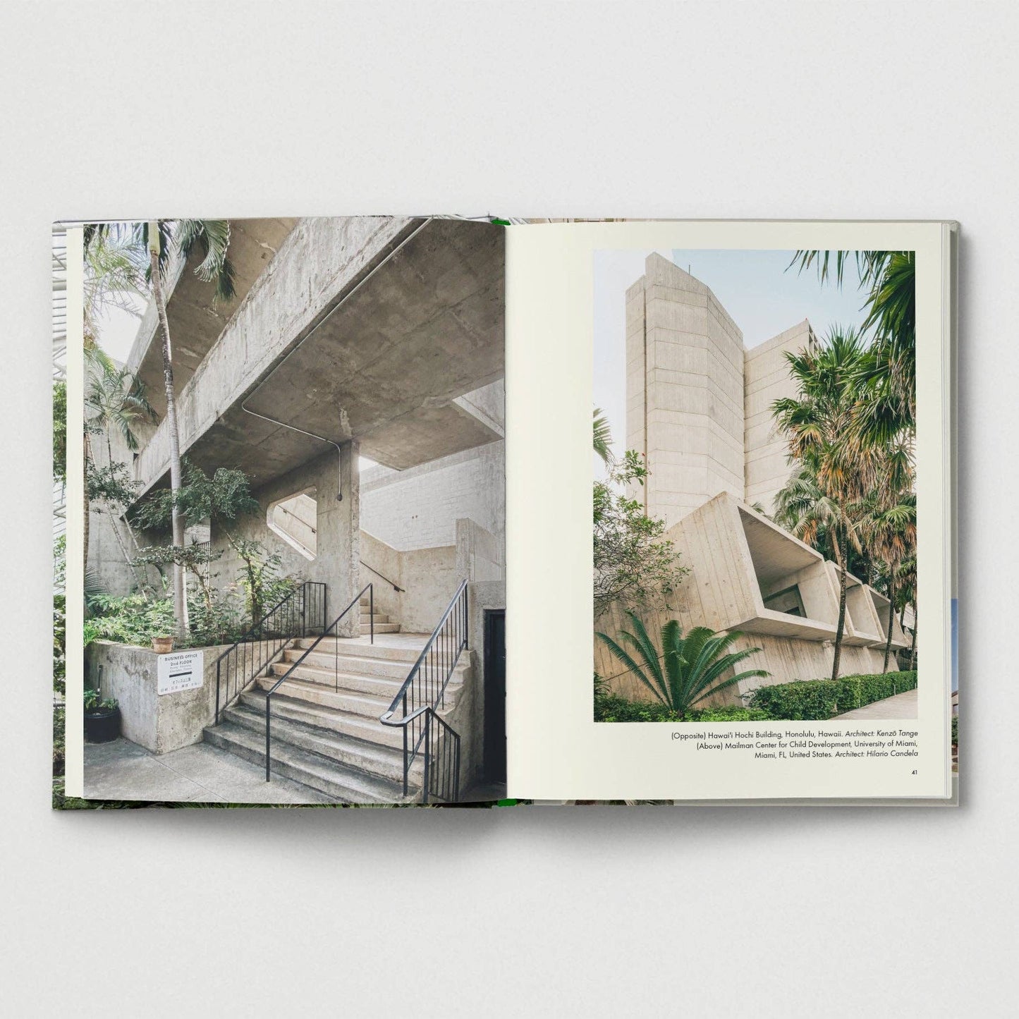 Brutalist Plants by Olivia Broome - Re - leaf