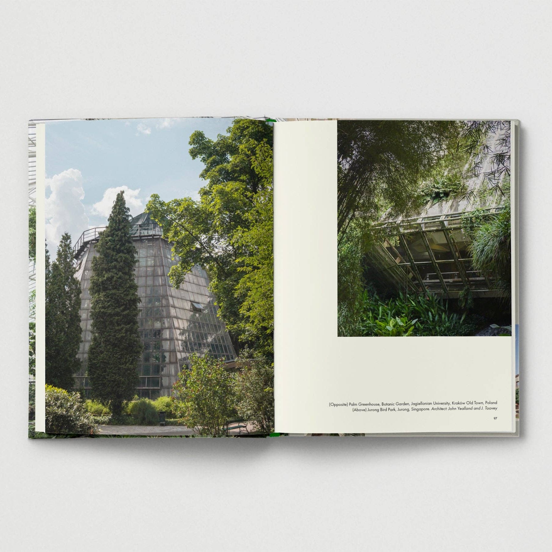 Brutalist Plants by Olivia Broome - Re - leaf