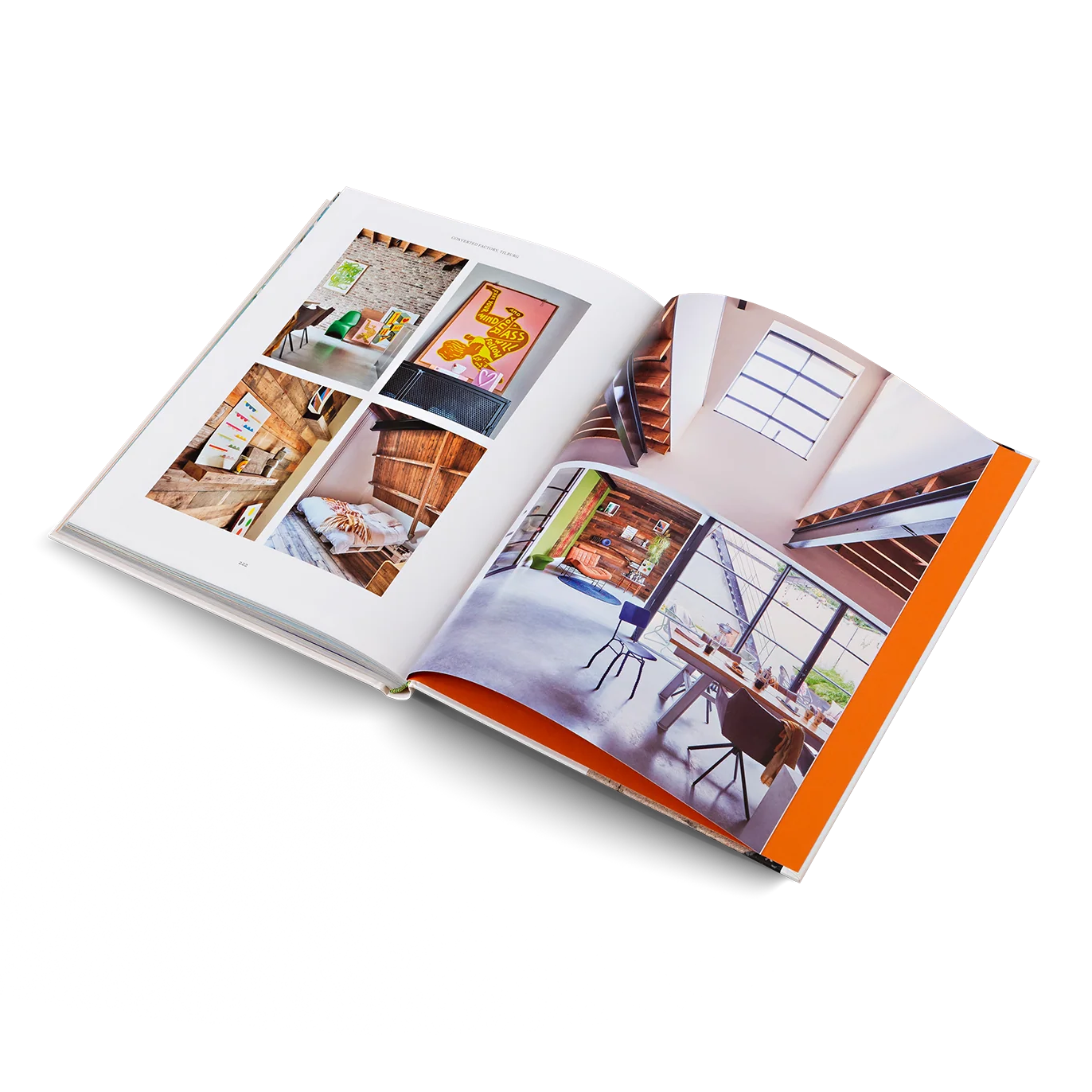 Creative Homes: Interiors and Design in the Netherlands - Re - leaf