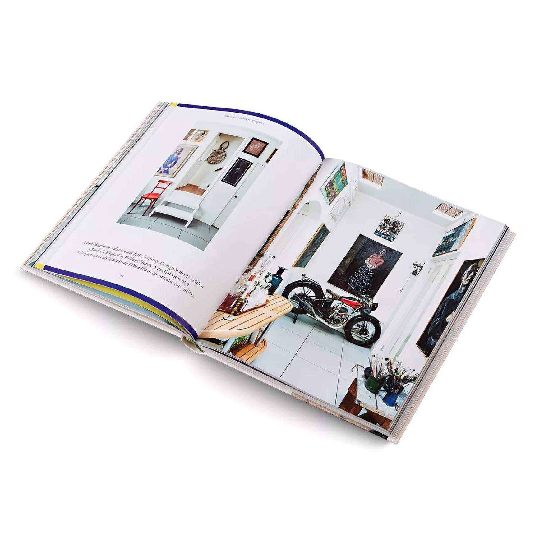 Creative Homes: Interiors and Design in the Netherlands - Re - leaf