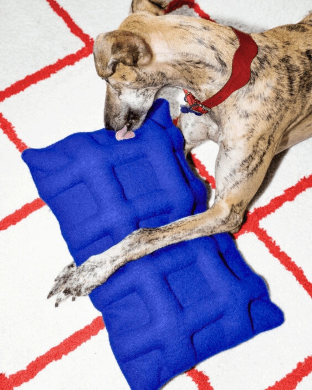 Grid Pillow Ultramarine - Re - leaf