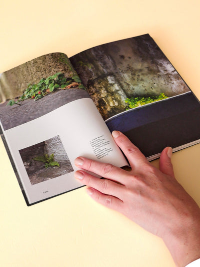 Les Plantes et Babylone Book - Re - leaf