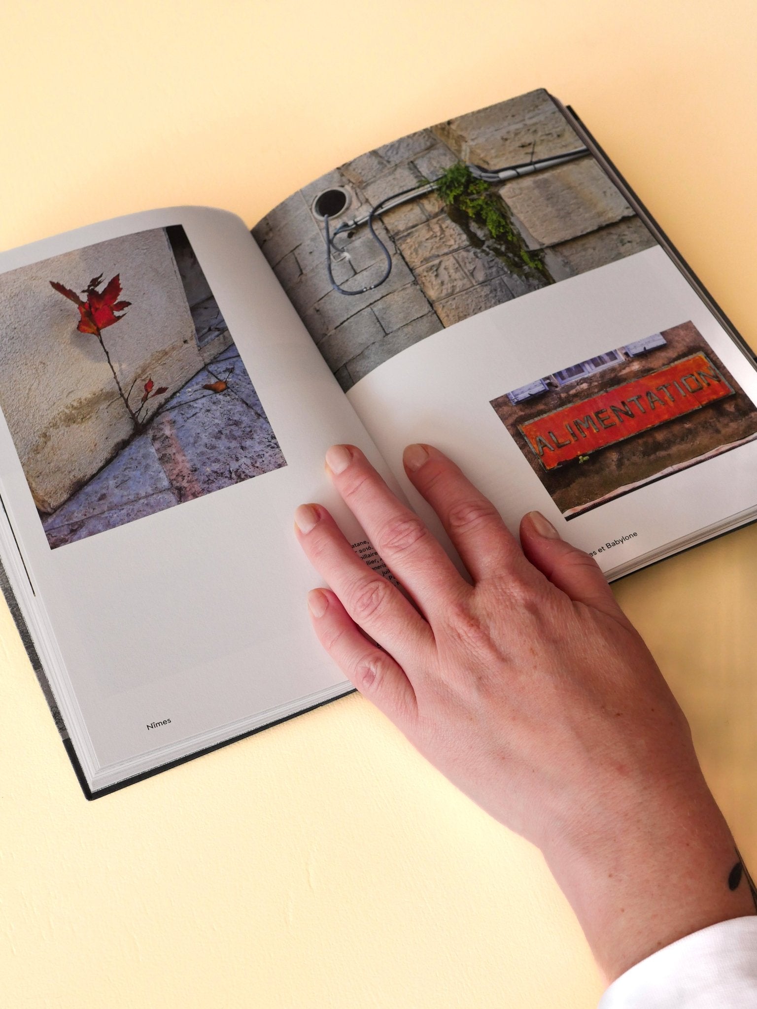 Les Plantes et Babylone Book - Re - leaf