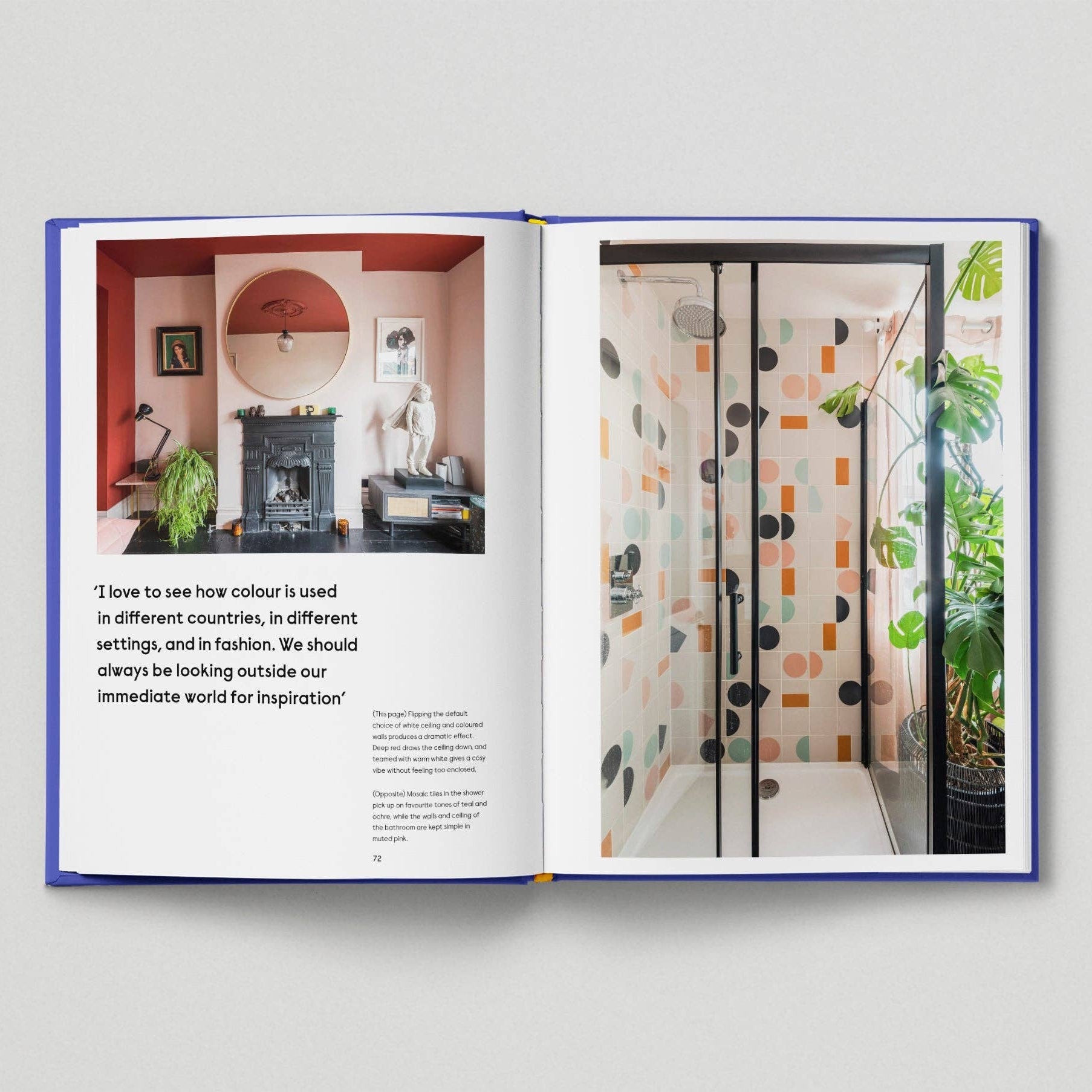 The New Colourful Home by Home Milk & Neil Perry - Re - leaf