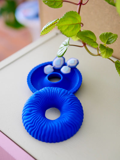 Wavy Donut Box Cobalt
