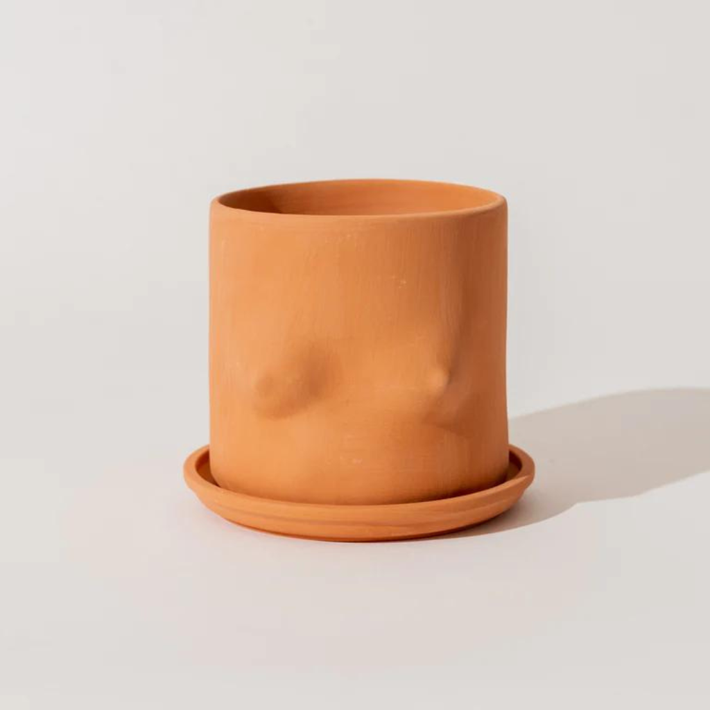 Terracotta Boob Plant Pot