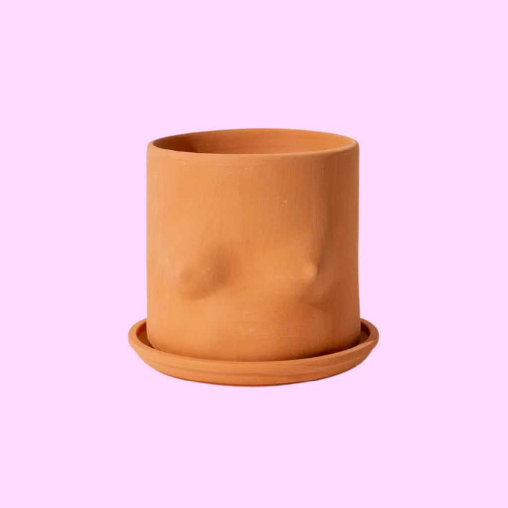 Terracotta Boob Plant Pot