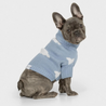 Never Stop Dreaming Dog Knit Jumper Baby Blue