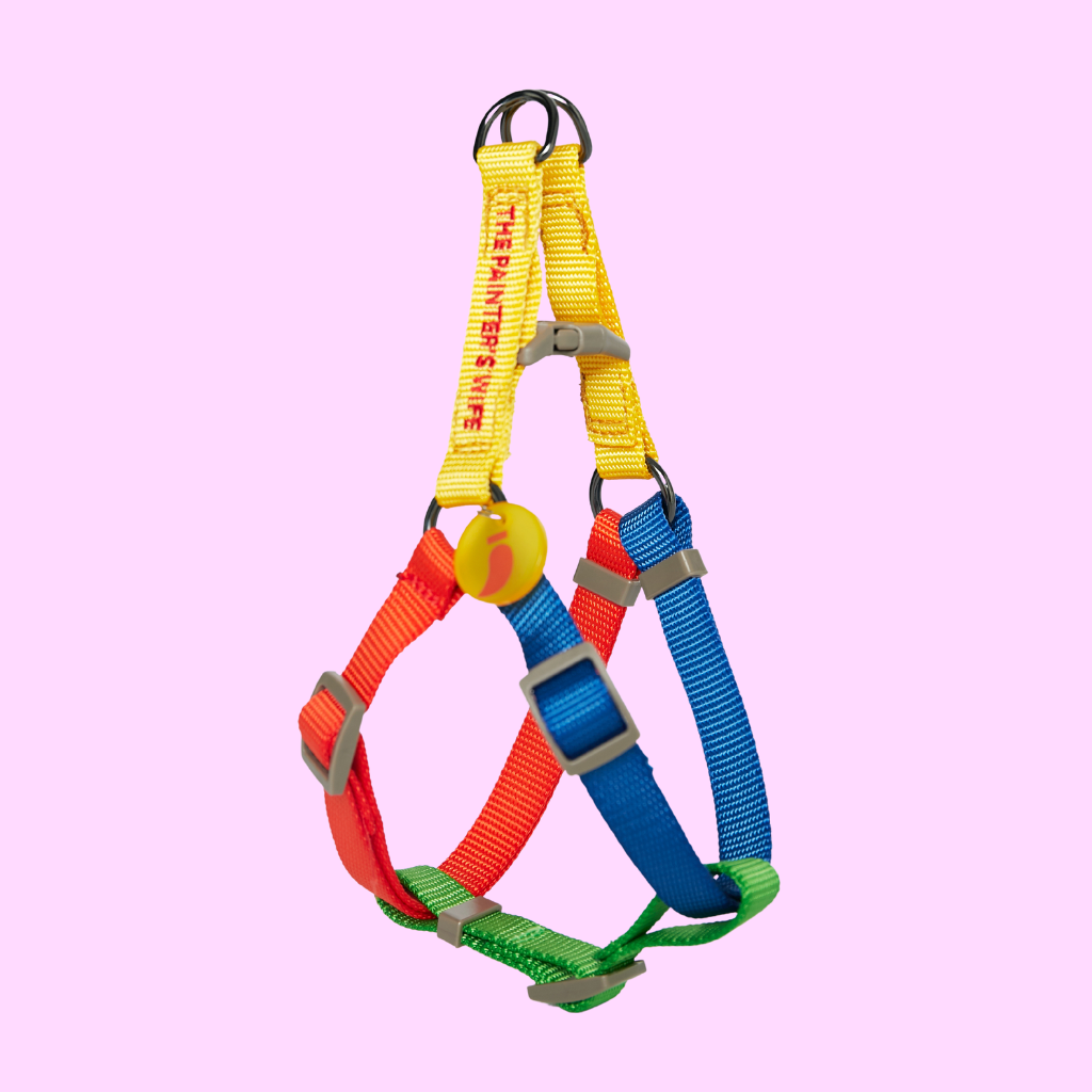 Sonia Dog Harness Yellow and Lime - Re-leaf