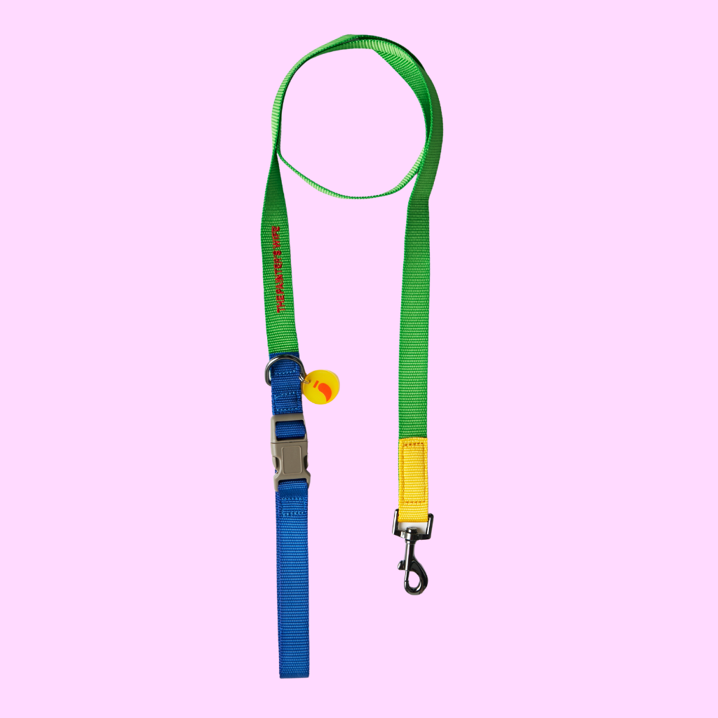 Sonia Dog Leash Yellow and Lime - Re-leaf