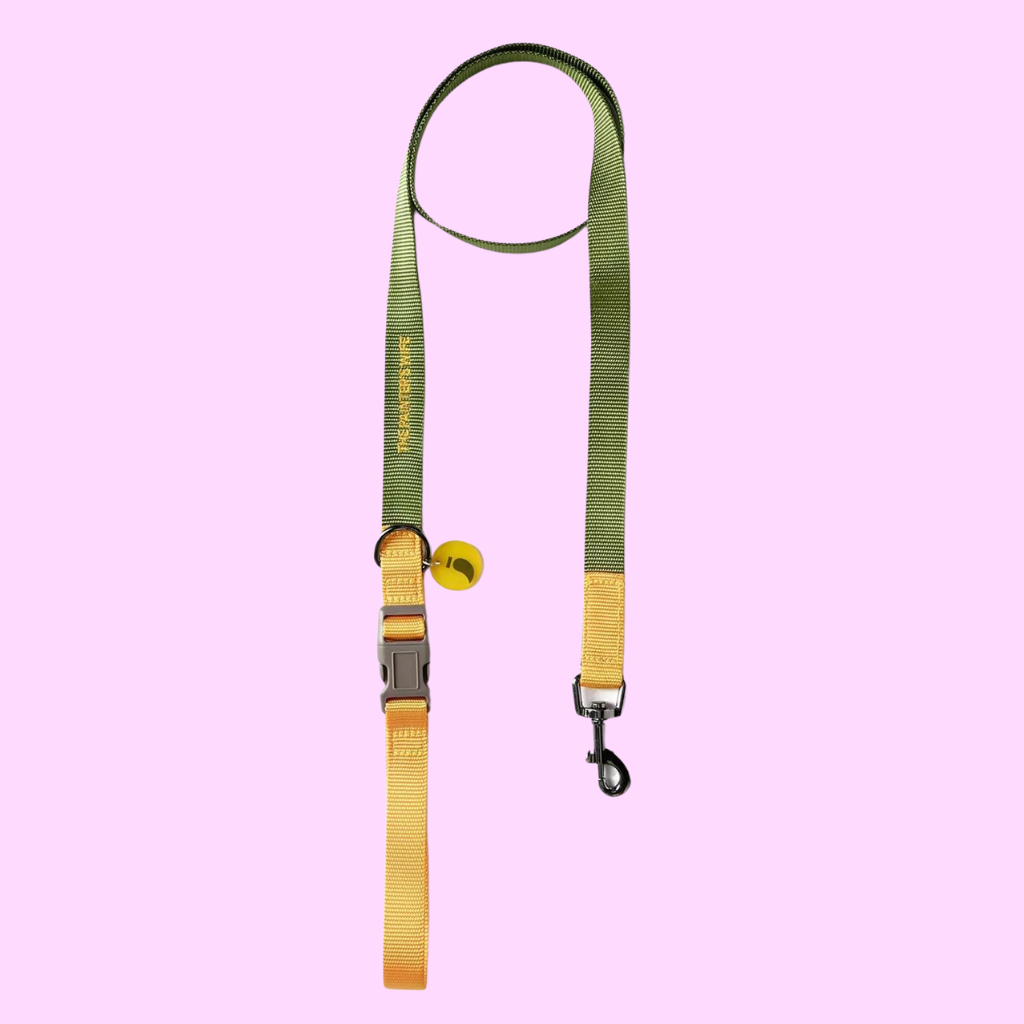 Sonia Dog Leash Mimosa and Moss - Re-leaf