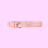 Signature dog Collar Peach - Re-leaf