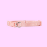 Signature dog Collar Peach - Re-leaf