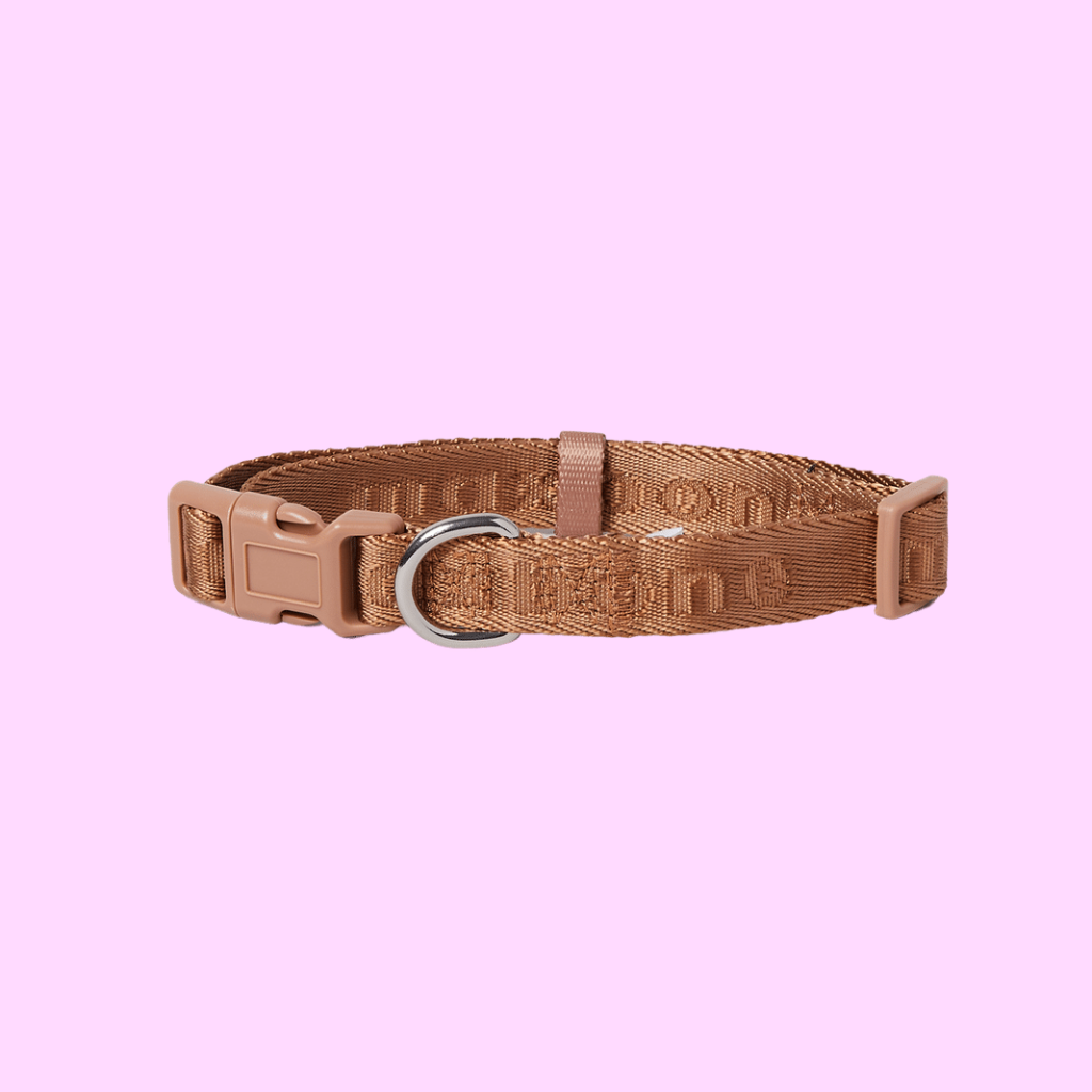 Signature dog Collar Camel - Re-leaf