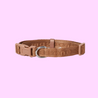 Signature dog Collar Camel - Re-leaf