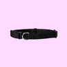 Signature dog Collar Black - Re-leaf