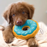 Blueberry Donut Dog Toy