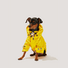 Talon Dog Raincoat - Re-leaf