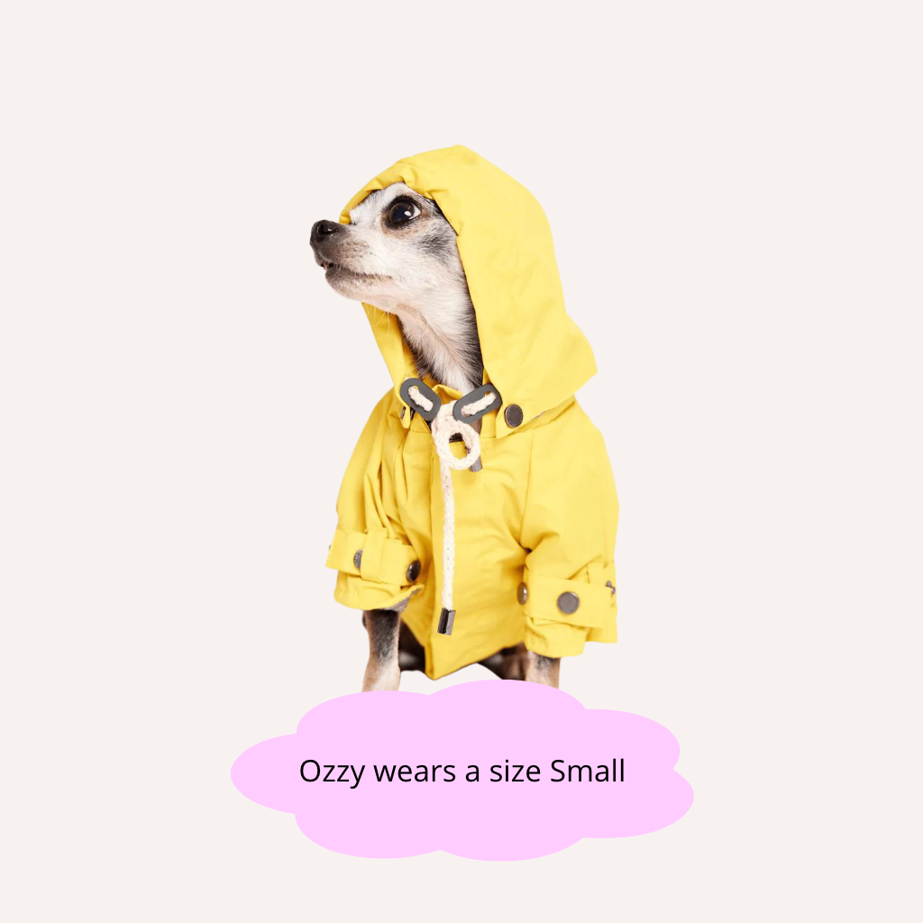 Talon Dog Raincoat - Re-leaf