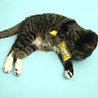 Mild Taco Sauce Cat Toy - Re-leaf