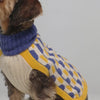 Donald Blue & Yellow Dog Sweater