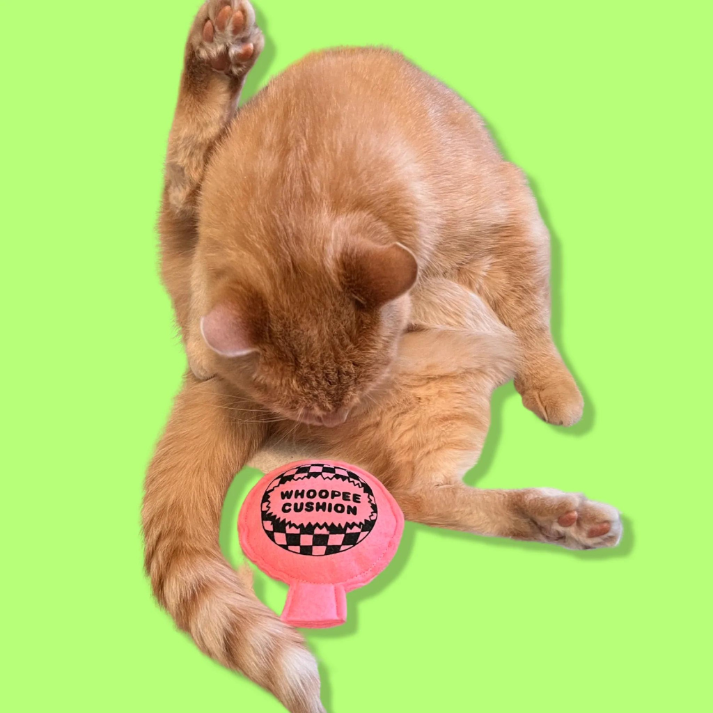 Catnip Whoopee Cushion - Re-leaf