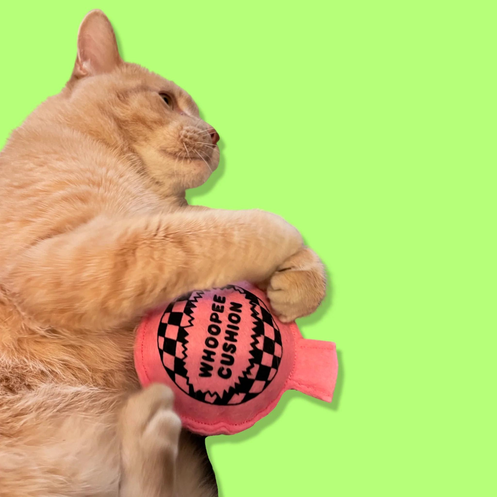 Catnip Whoopee Cushion - Re-leaf