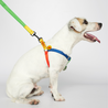 Sonia Dog Harness Yellow and Lime - Re-leaf