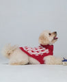 Donald Red & Pink Dog Sweater